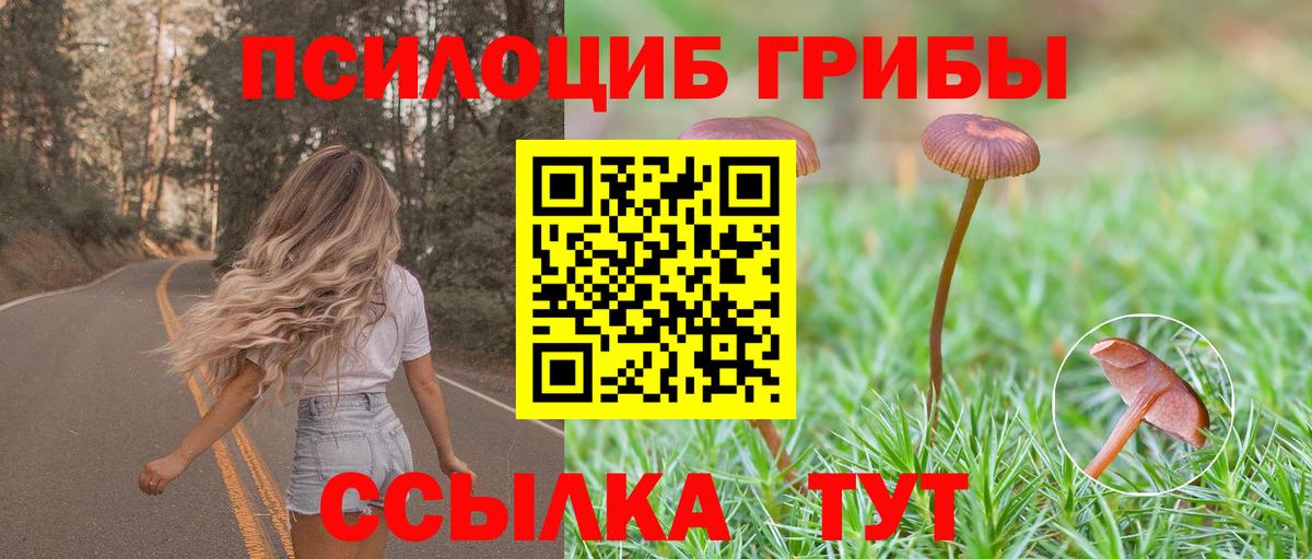 Псилоцибиновые грибы мицелий Серпухов