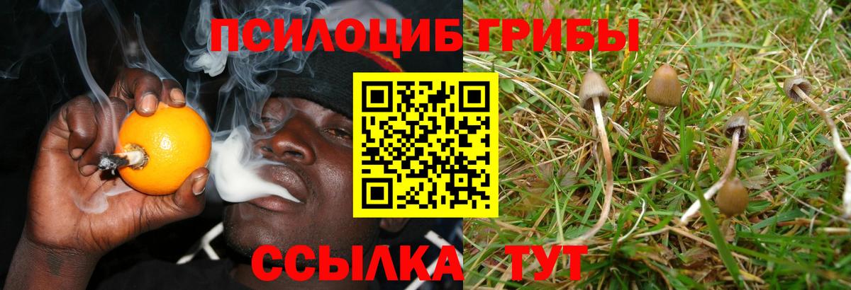 Серпухов  Галлюциногенные грибы Magic Shrooms  Вход с VPN 